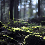 Photo n°3 de l'avis de Lamberto.a fait le 26/10/2021 à 08:43 sur le  Ristorante All'Alba à Tambruz