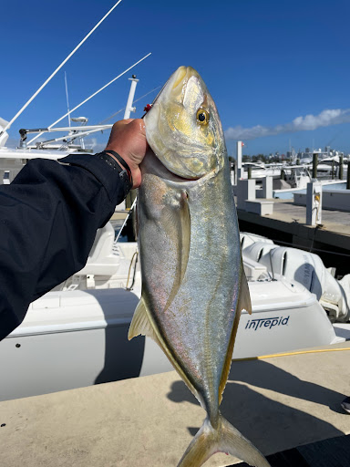 Boat Rental Service «Miami Fishing Charters, LLC», reviews and photos, 3400 Pan American Dr, Miami, FL 33133, USA