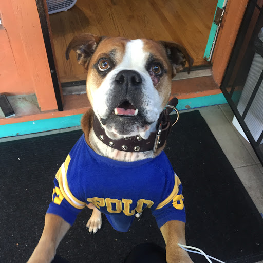 Thrift Store «Lucky Dog Clothing», reviews and photos, 8201 Greenwood Ave N, Seattle, WA 98103, USA