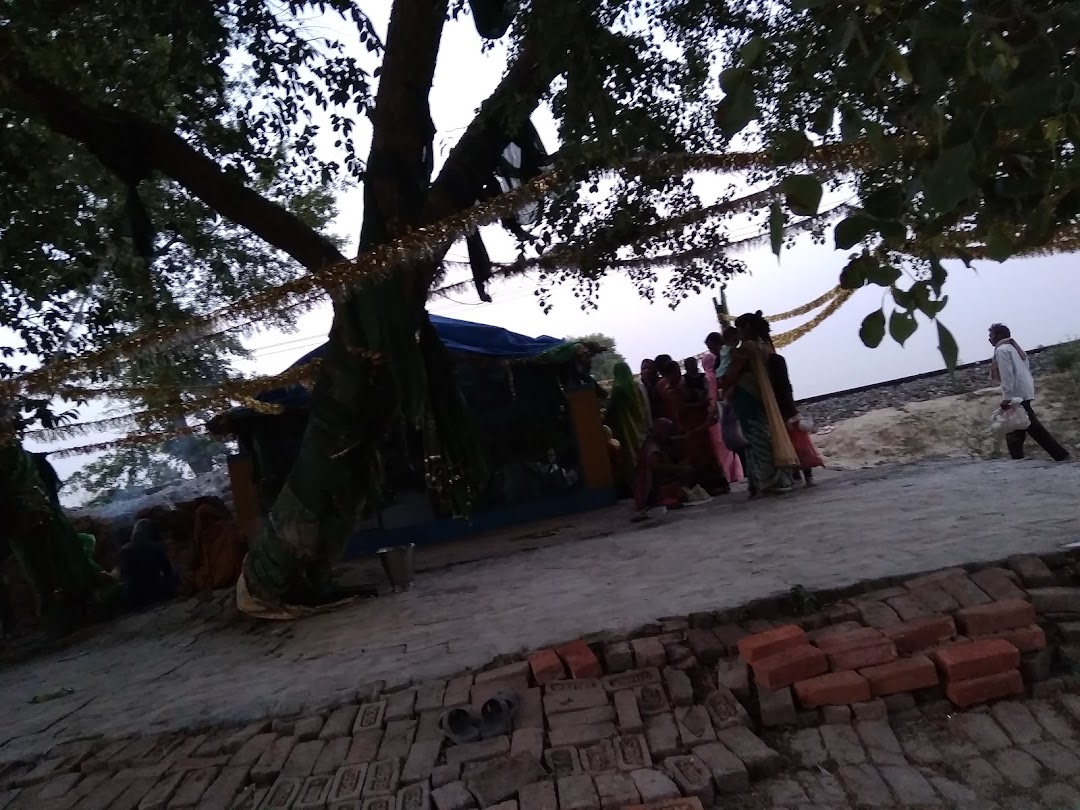 सिंघल शहीद मजार