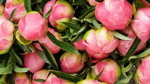 Florist «Westerville Florist», reviews and photos, 14 S State St, Westerville, OH 43081, USA