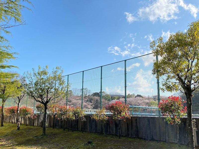加賀市中央公園 テニスコート