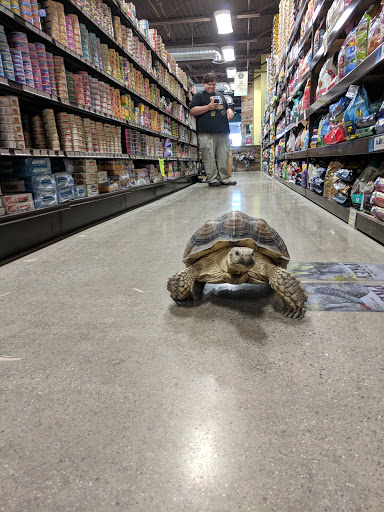 Pet Supply Store «Premier Pet Supply», reviews and photos, 31215 Southfield Rd, Beverly Hills, MI 48025, USA