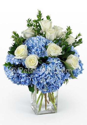 Florist «Petal Street Flower Company», reviews and photos, 2319 Bridge Ave, Point Pleasant, NJ 08742, USA