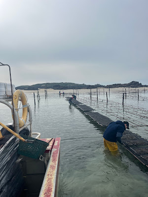 GAEC La Belle du Ronquet à Blainville-sur-Mer