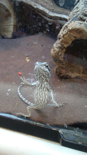 Pet Supply Store «PetSmart», reviews and photos, 208 Mariner Way, Biddeford, ME 04005, USA