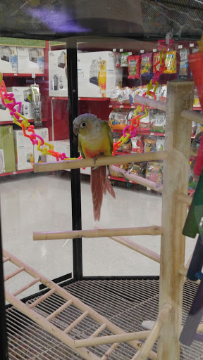 Pet Supply Store «Petco Animal Supplies», reviews and photos, 3444 S Mooney Blvd, Visalia, CA 93277, USA