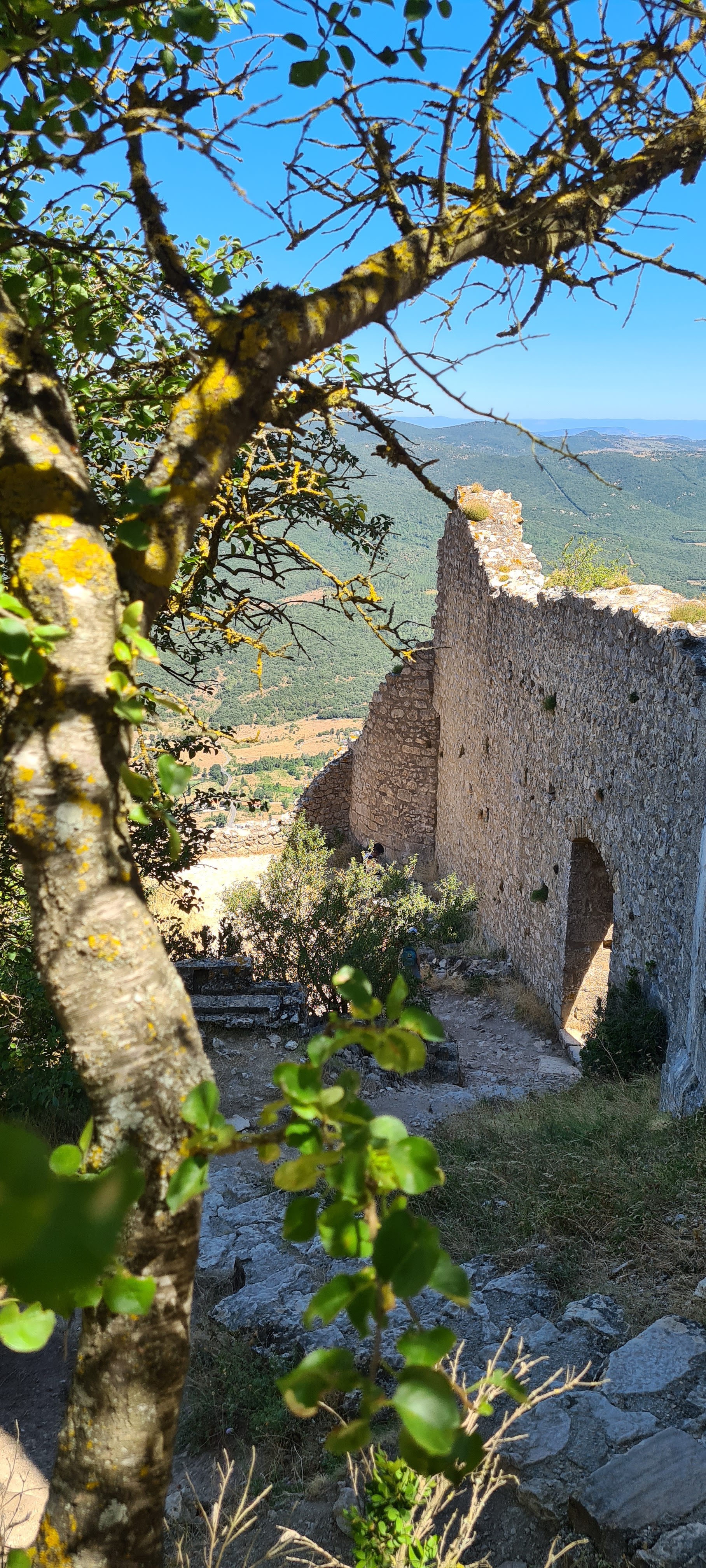 Photo n° 10 de l'avis de Ce.i fait le 03/08/2022 à 22:13