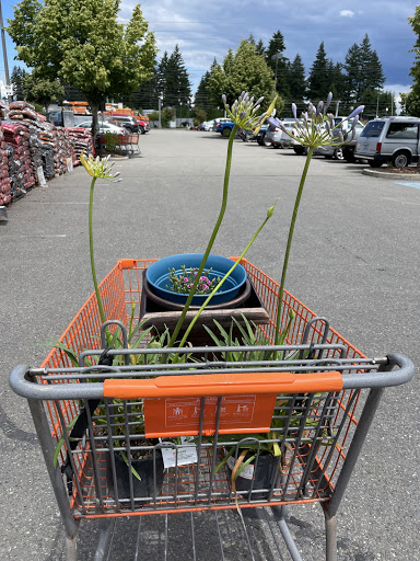 Home Improvement Store «The Home Depot», reviews and photos, 1101 Kings Wood Dr SW, Tumwater, WA 98512, USA