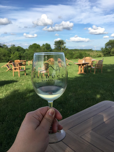 Winery «Balducci Vineyards», reviews and photos, 6601 S Missouri 94, Augusta, MO 63332, USA