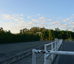 Landschaftspark Johannisthal/Adlershof photo