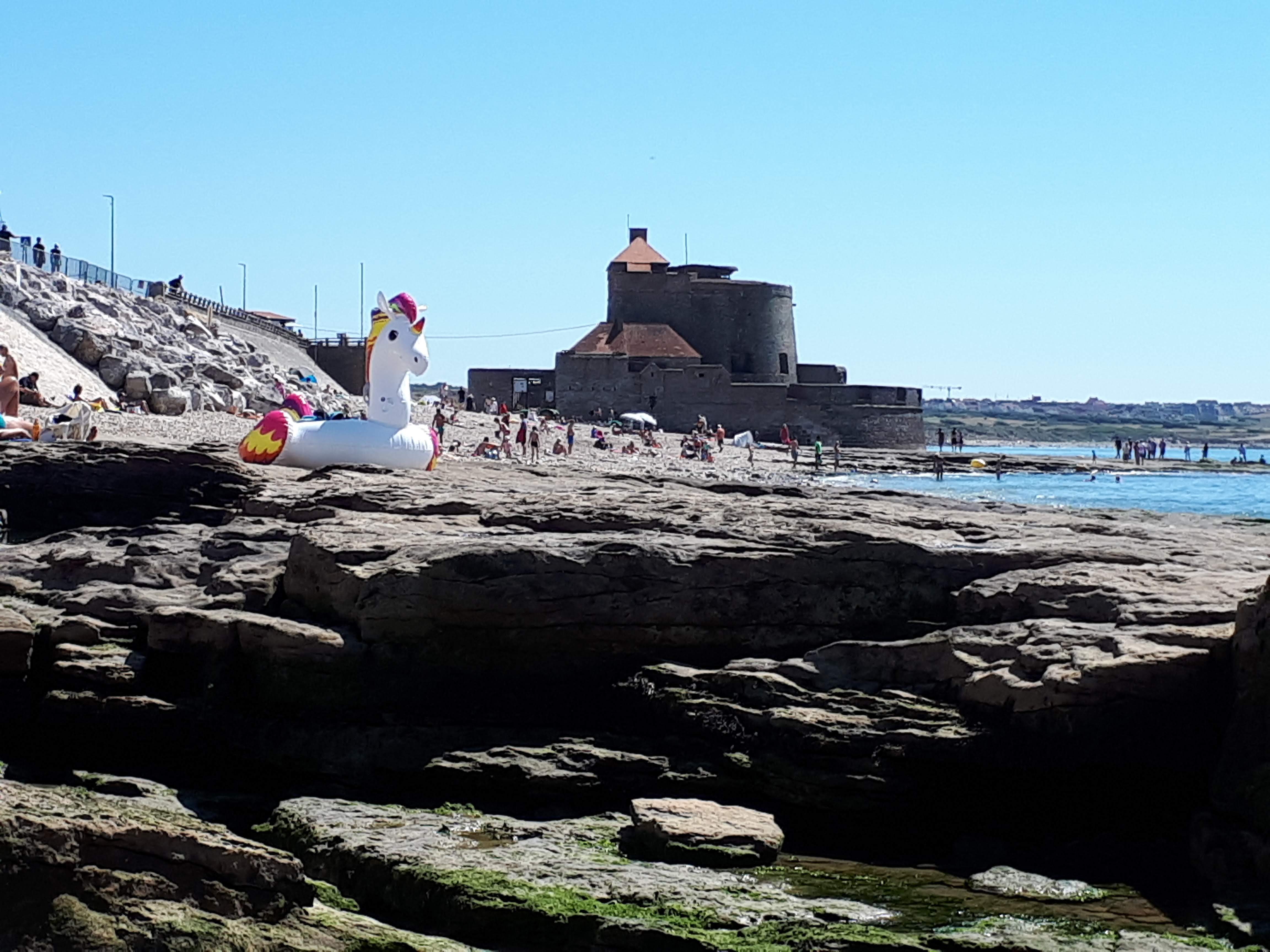 Photo n° 3 de l'avis de Evelyne.e fait le 06/08/2018 à 18:33