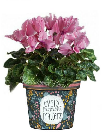 Florist «Belladonna Florist», reviews and photos, 8433 Joiner Way, Eden Prairie, MN 55344, USA