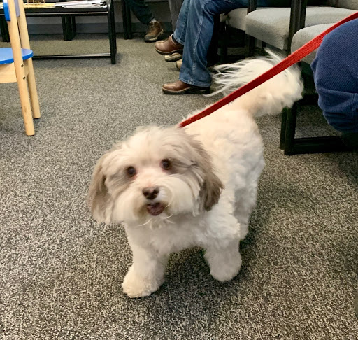 Ford Dealer «Maplecrest Ford of Mendham», reviews and photos, 102 E Main St, Mendham, NJ 07945, USA