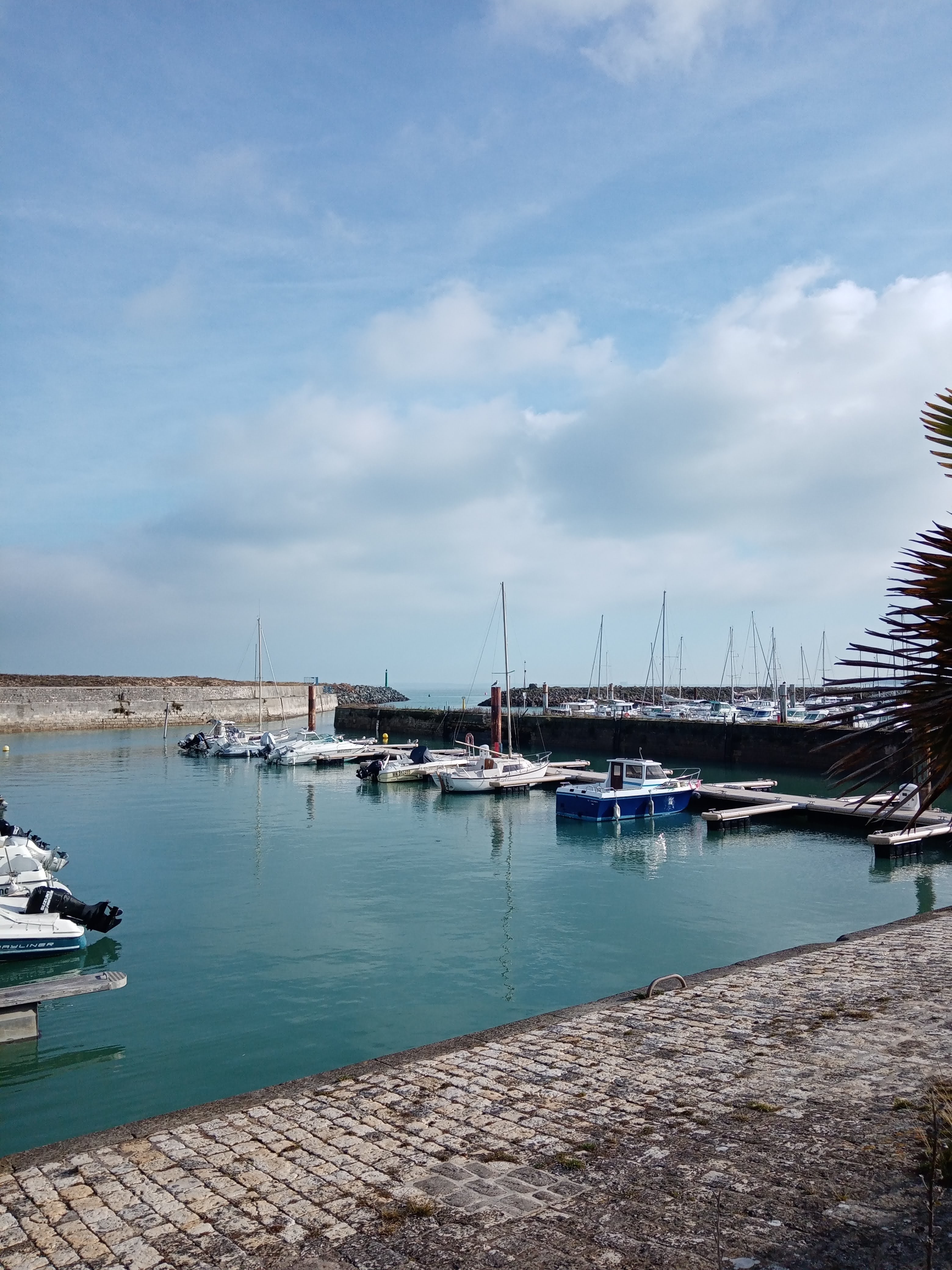 Photo n° 2 de l'avis de Reaver.a fait le 29/05/2022 à 06:21