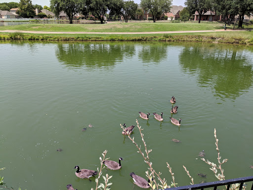 Golf Course «Plantation Golf Club», reviews and photos, 4701 Plantation Ln, Frisco, TX 75035, USA