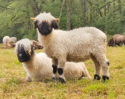 La ferme de Maillofargueix à Bersac-sur-Rivalier