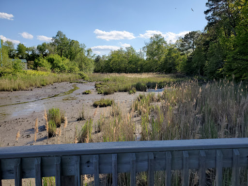 Tourist Attraction «Wetlands overlook park», reviews and photos, 4020 11th St, North Beach, MD 20714, USA