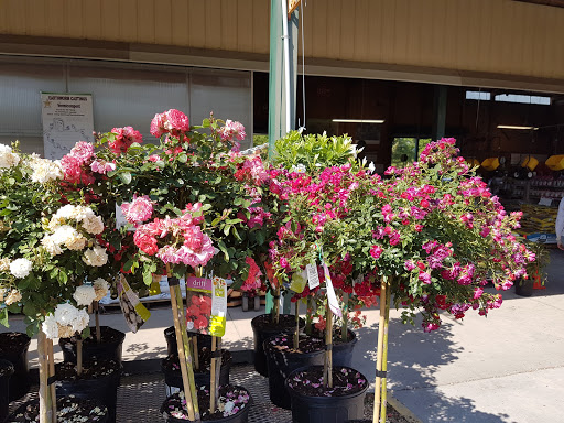 Plant Nursery «Lukas Nursery & Butterfly Encounter», reviews and photos, 1909 Slavia Rd, Oviedo, FL 32765, USA