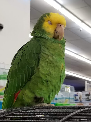 Pet Store «B & B Pet Stop, Inc.», reviews and photos, 5035 Cottage Hill Rd, Mobile, AL 36609, USA