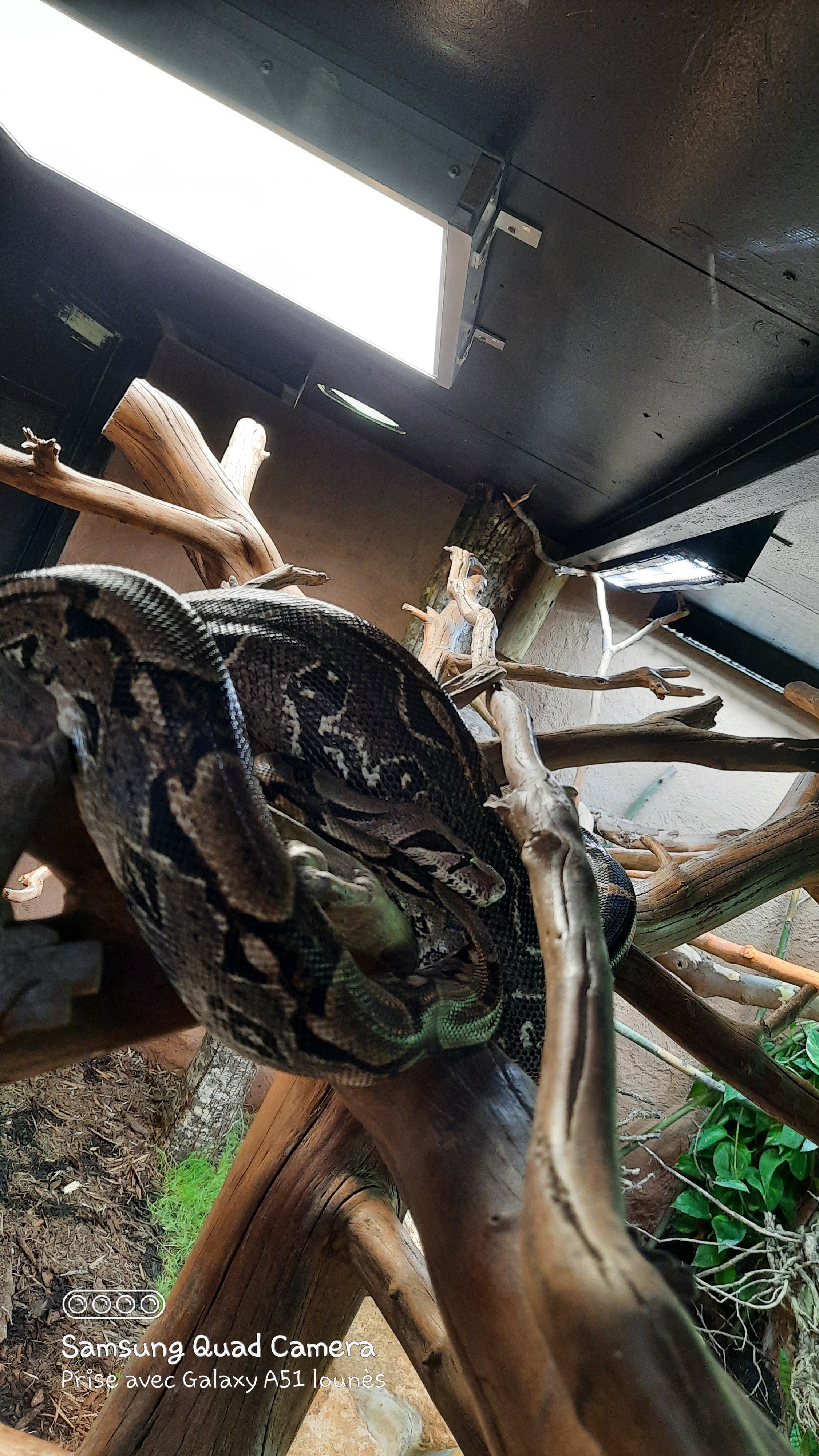 Photo n° 40 de l'avis de Lounes. fait le 02/06/2021 à 21:26