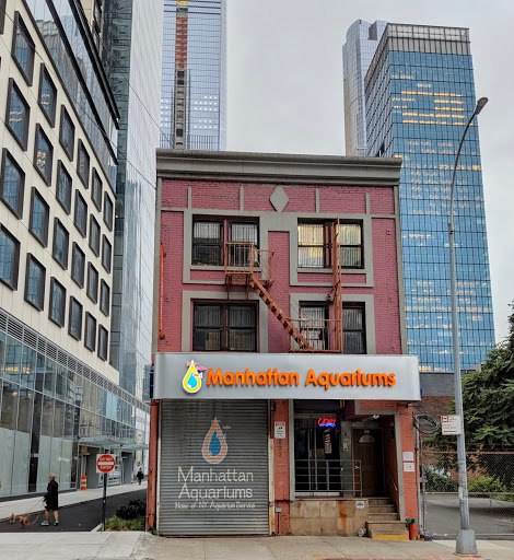 Tropical Fish Store «Manhattan Aquariums», reviews and photos, 522 W 37th St, New York, NY 10018, USA