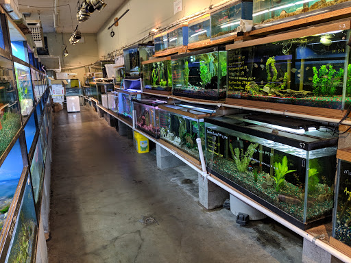 Pet Store «A to Z Pets», reviews and photos, 16010 SE Division St, Portland, OR 97236, USA