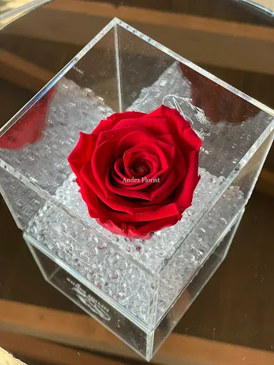 Florist «Andes Florist Place of Roses», reviews and photos, 22928 Hawthorne Blvd, Torrance, CA 90505, USA