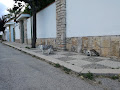 Photo Bed & Breakfast Villa Laika 76011 Bisceglie (miniature)