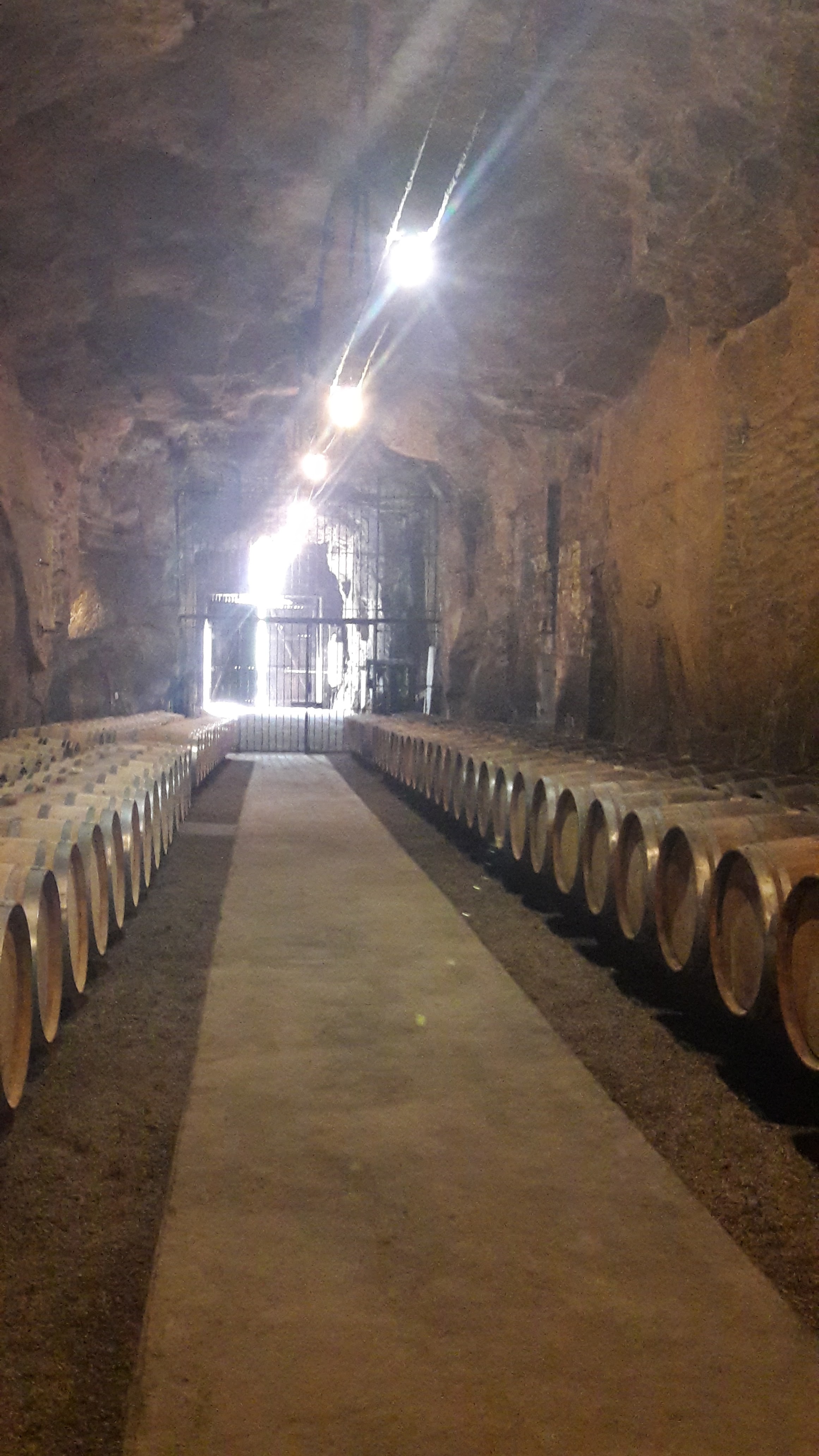 Photo n° 2 de l'avis de sterenn.r fait le 14/04/2019 à 19:45