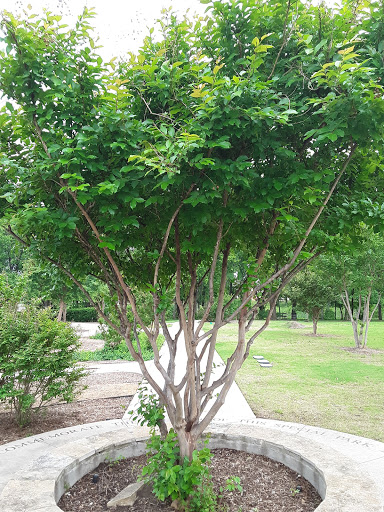 Park «The Crape Myrtle Trails of McKinney», reviews and photos, 6452 Collin McKinney Pkwy, McKinney, TX 75070, USA