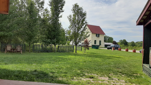 Vineyard «Harpersfield Vineyard», reviews and photos, 6387 OH-307, Geneva, OH 44041, USA