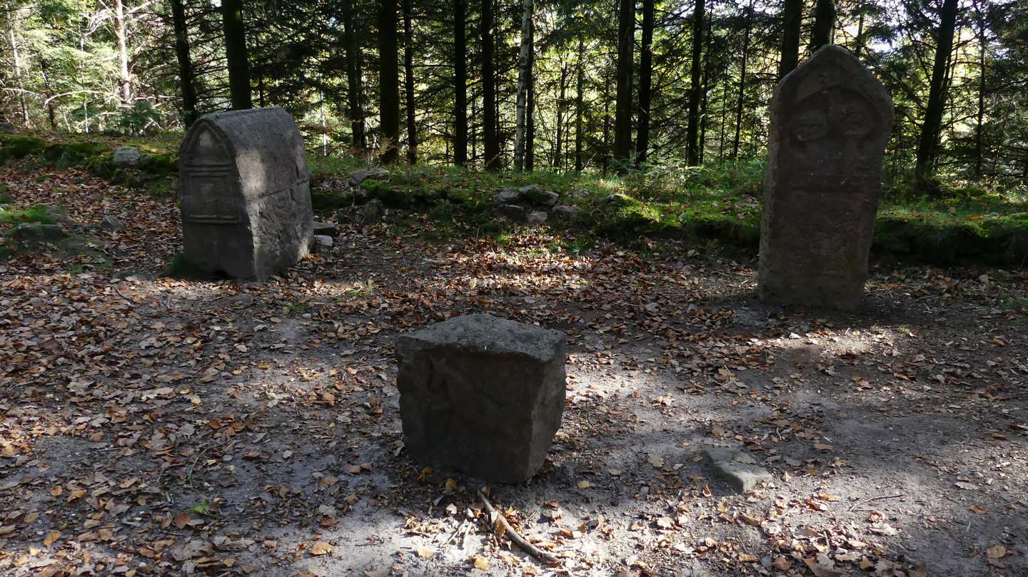 Photo n° 10 de l'avis de Jean.c fait le 31/10/2022 à 08:18
