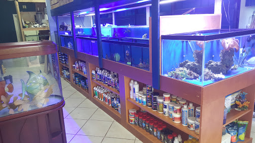 Pet Supply Store «Aquarium & Pets Emporium», reviews and photos, 2457 NW 97th Ave, Doral, FL 33178, USA