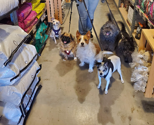 Pet Supply Store «The Naked Dog (Protein For Pets)», reviews and photos, 712 N Moorpark Rd, Thousand Oaks, CA 91360, USA