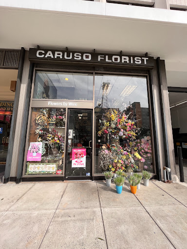 Florist «Caruso Florist», reviews and photos, 1717 M St NW, Washington, DC 20036, USA