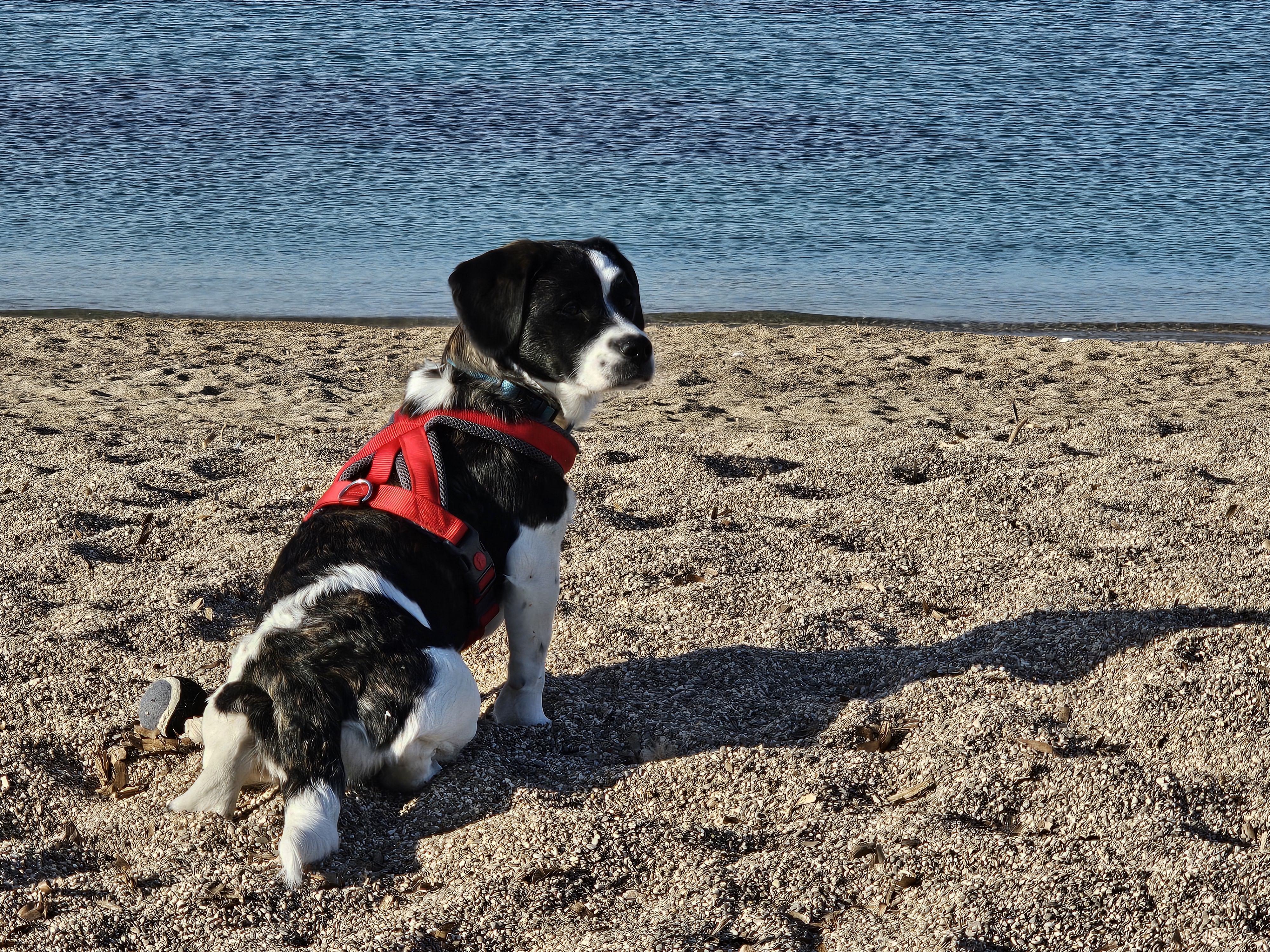 Photo n° 1 de l'avis de David.A fait le 05/02/2024 à 16:56