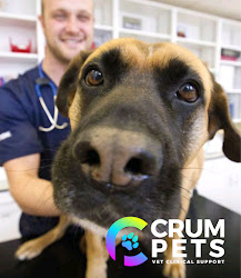 CrumPets Vet Clinical Support