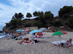 Photo of Cala Dels Vienesos with very clean level of cleanliness