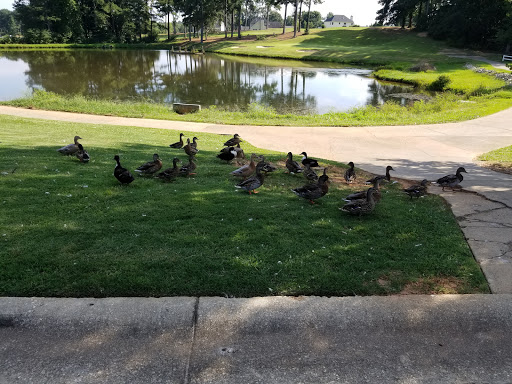 Golf Course «Creekside Golf & Country Club», reviews and photos, 591 Westchester Club Dr, Hiram, GA 30141, USA