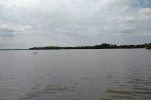 Ciénaga de Ayapel image