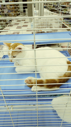 Pet Store «Salisbury Super Pet», reviews and photos, 329 Civic Ave, Salisbury, MD 21804, USA