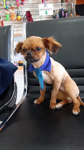 Clinica Veterinaria Mascotitas