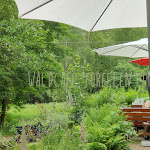 Photo n°4 de l'avis de Marcus.c fait le 26/06/2021 à 16:11 sur le  Waldcafe Forellenteich à Braunlage