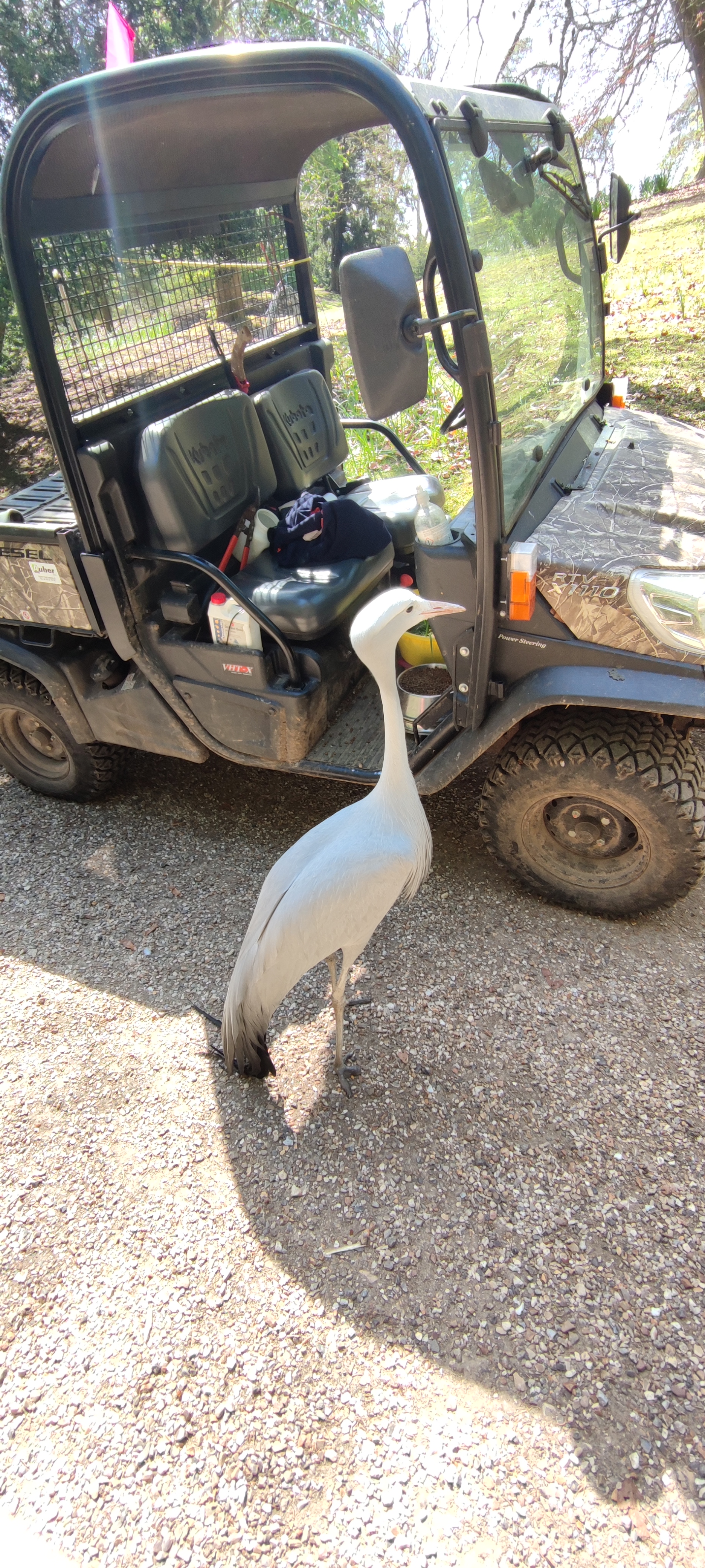 Photo n° 4 de l'avis de Christophe.A fait le 15/04/2022 à 13:58