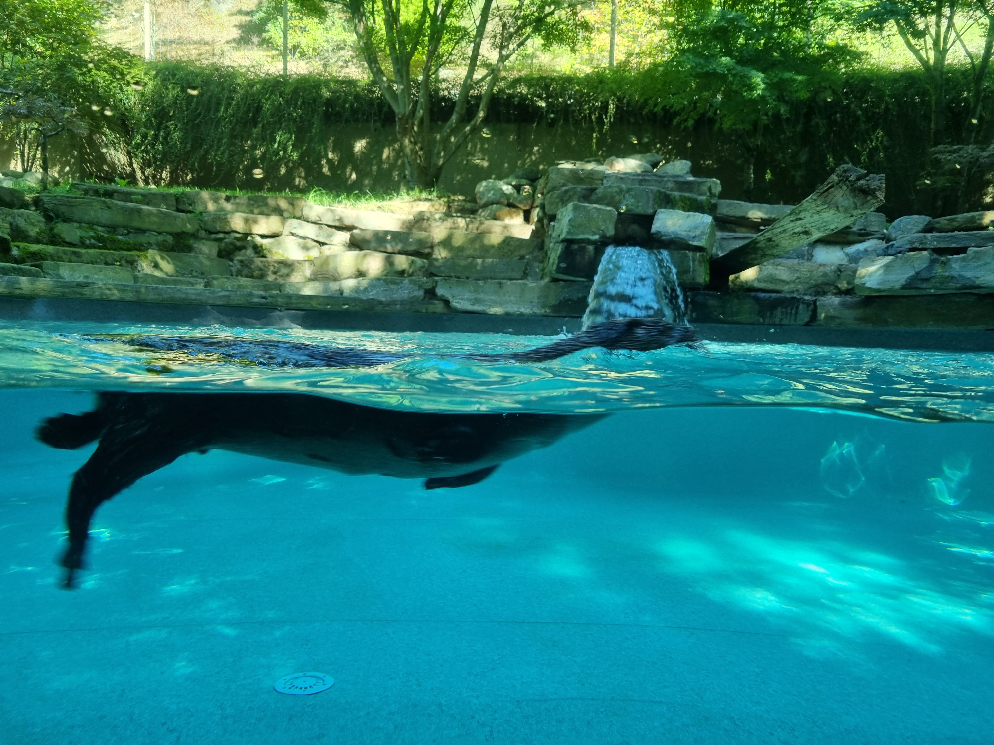 Photo n° 7 de l'avis de William.o fait le 06/08/2022 à 16:28