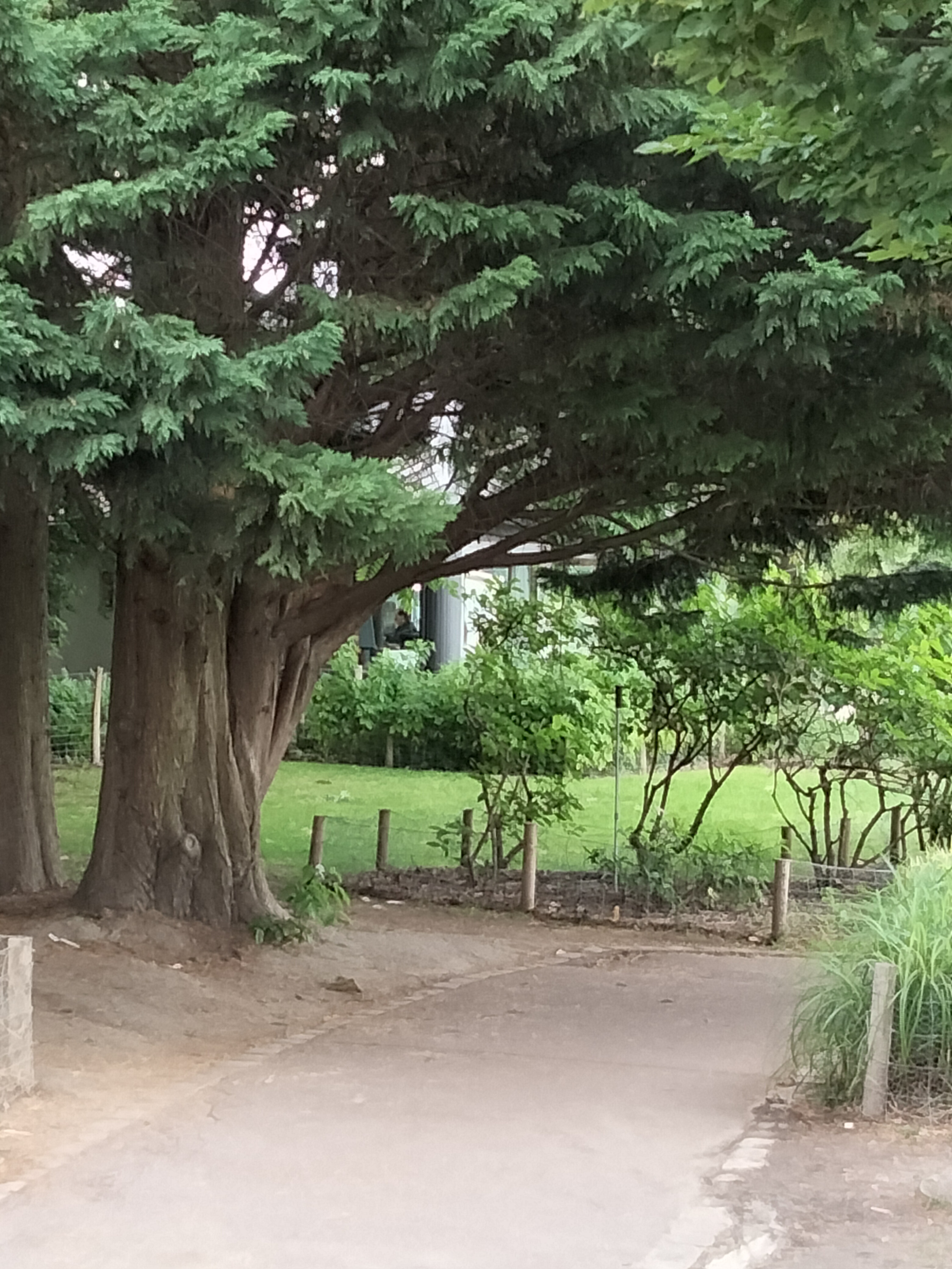 Photo n° 3 de l'avis de Béa. fait le 26/06/2022 à 17:04