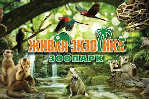 Mini-Zoopark Zhivaya Ekzotika, Ekspozitsiya Zateryannyy Mir image