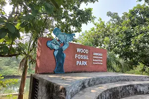 Wood Fossil Park, Amkhoi image