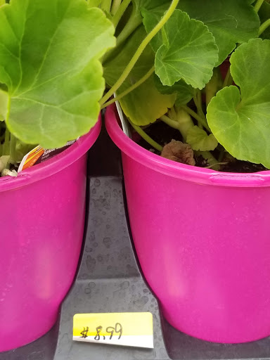 Animal Feed Store «IFA Country Stores», reviews and photos, 1071 Pioneer Rd, Draper, UT 84020, USA